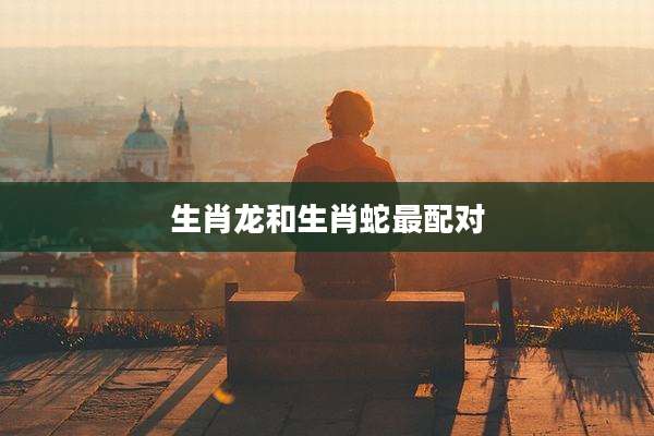 生肖龙和生肖蛇最配对