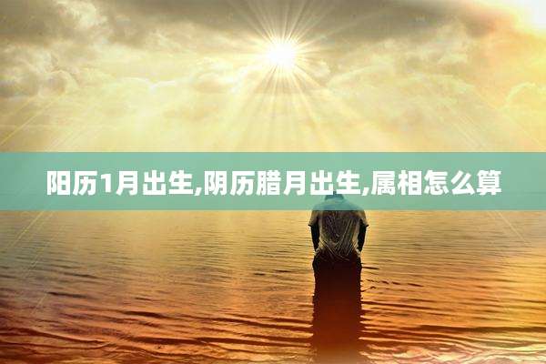 阳历1月出生,阴历腊月出生,属相怎么算