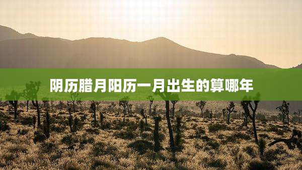 阴历腊月阳历一月出生的算哪年