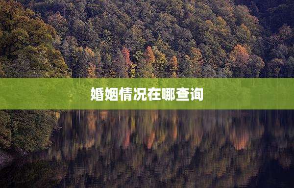婚姻情况在哪查询