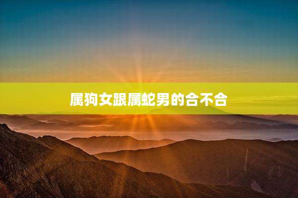 属狗女跟属蛇男的合不合