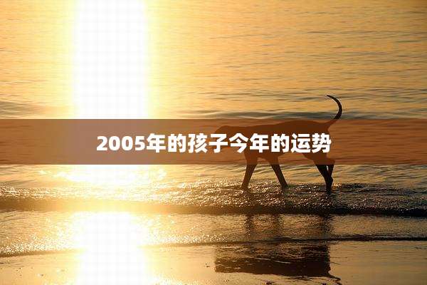 2005年的孩子今年的运势