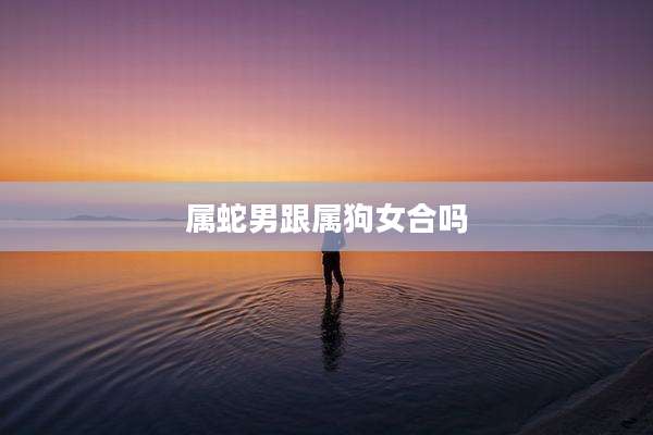 属蛇男跟属狗女合吗