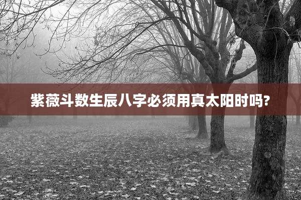 紫薇斗数生辰八字必须用真太阳时吗?