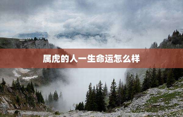 属虎的人一生命运怎么样