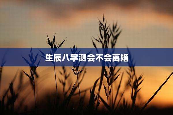 生辰八字测会不会离婚