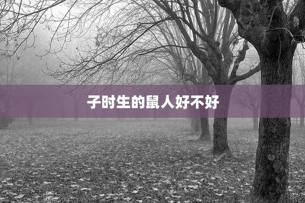 子时生的鼠人好不好