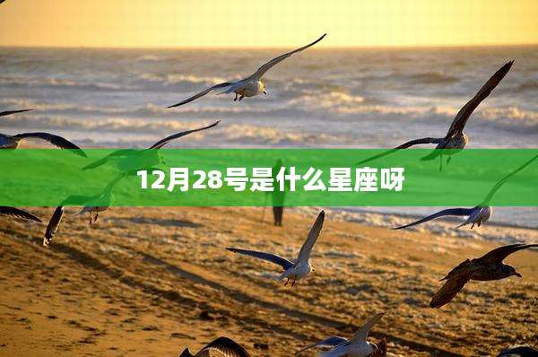 12月28号是什么星座呀