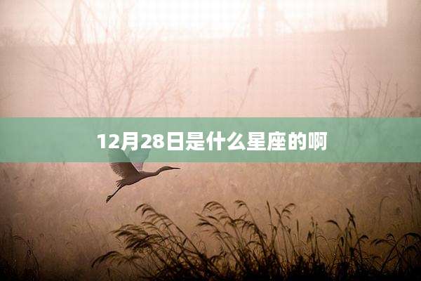12月28日是什么星座的啊