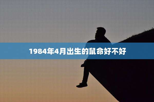 1984年4月出生的鼠命好不好