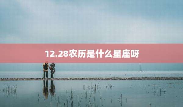 12.28农历是什么星座呀