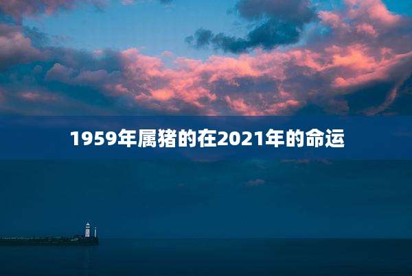 1959年属猪的在2021年的命运
