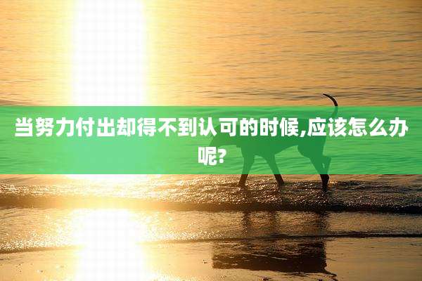 当努力付出却得不到认可的时候,应该怎么办呢?