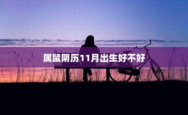 属鼠阴历11月出生好不好