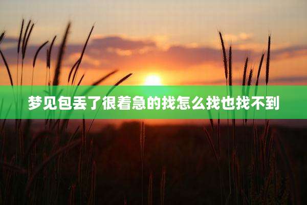 梦见包丢了很着急的找怎么找也找不到