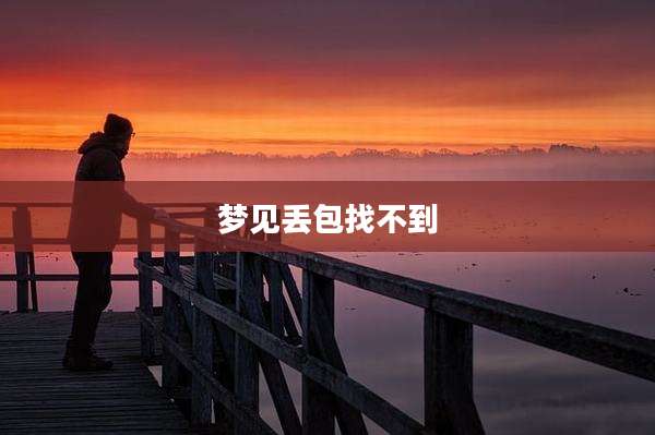 梦见丢包找不到