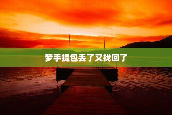 梦手提包丢了又找回了