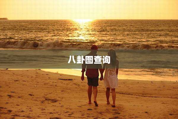 八卦图查询