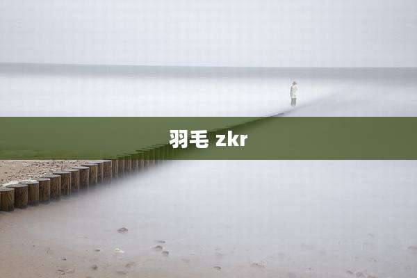羽毛 zkr