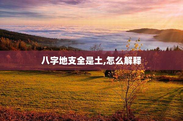 八字地支全是土,怎么解释