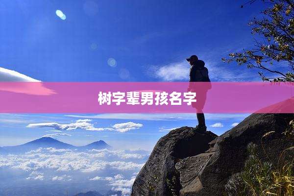 树字辈男孩名字