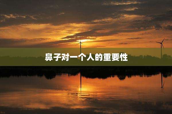 鼻子对一个人的重要性