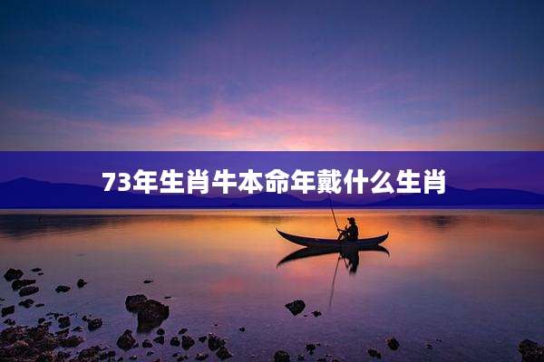 73年生肖牛本命年戴什么生肖