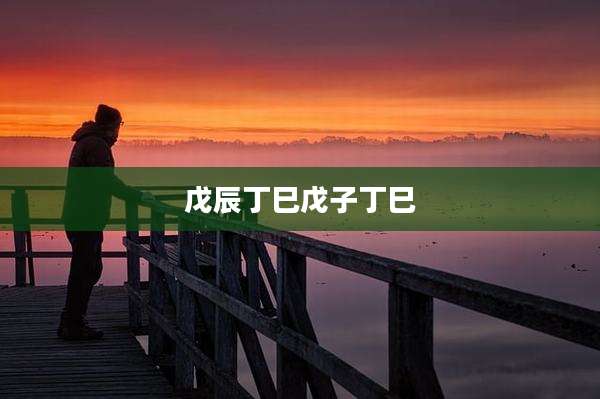 戊辰丁巳戊子丁巳