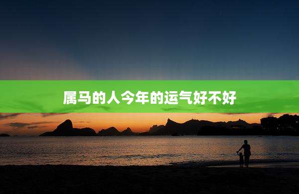 属马的人今年的运气好不好