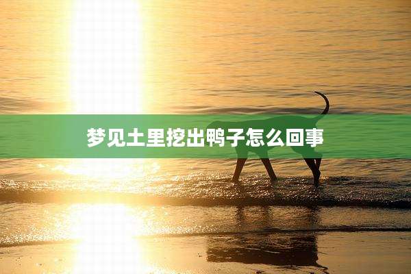 梦见土里挖出鸭子怎么回事