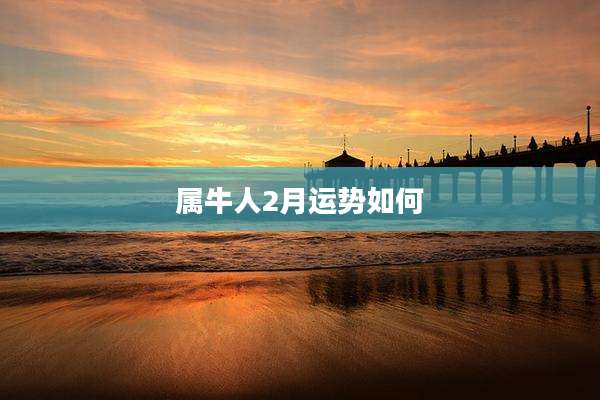 属牛人2月运势如何