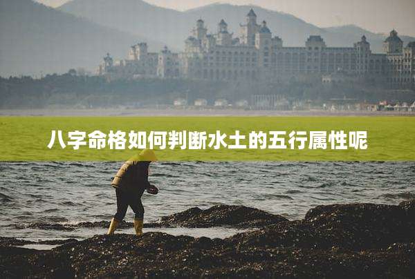 八字命格如何判断水土的五行属性呢