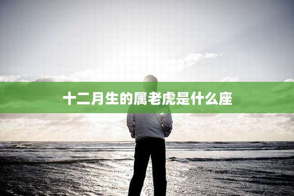 十二月生的属老虎是什么座