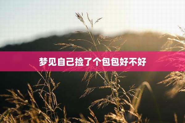 梦见自己捡了个包包好不好