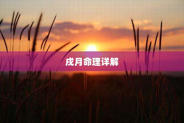 戌月命理详解