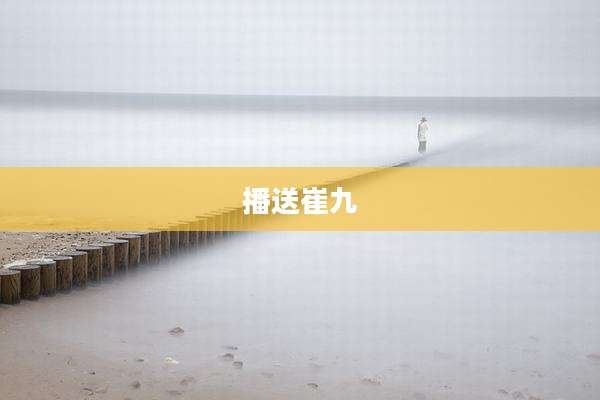 播送崔九