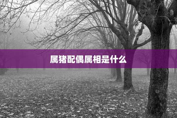 属猪配偶属相是什么