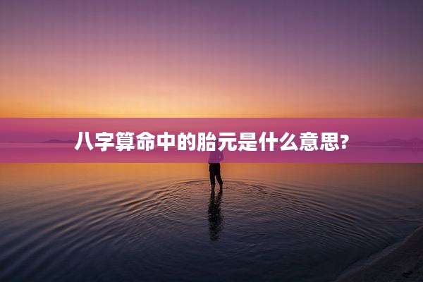 八字算命中的胎元是什么意思?