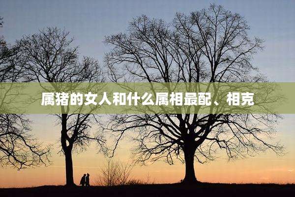 属猪的女人和什么属相最配、相克
