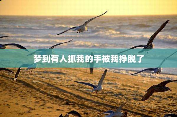 梦到有人抓我的手被我挣脱了