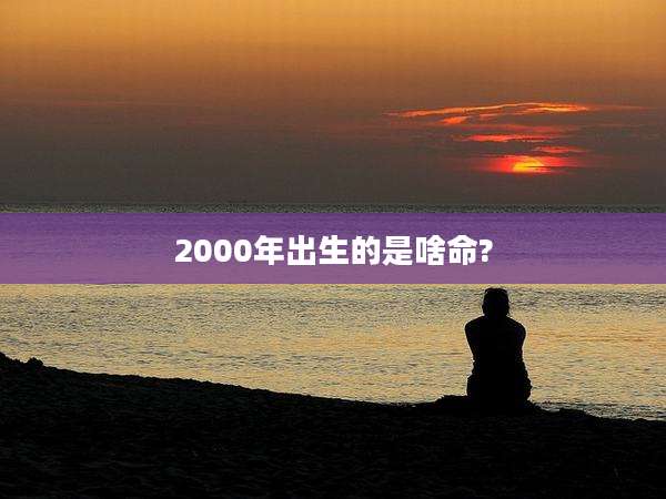 2000年出生的是啥命?