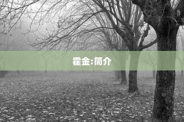 霍金:简介