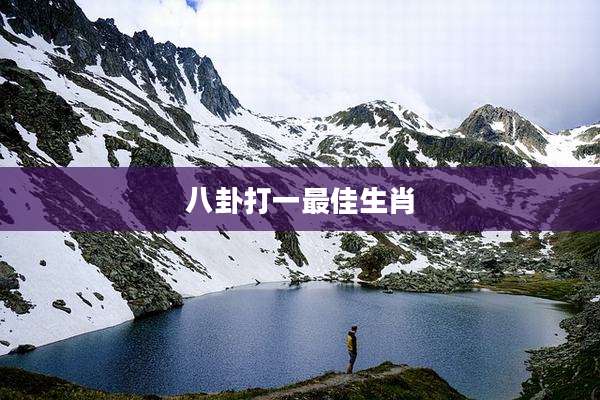 八卦打一最佳生肖