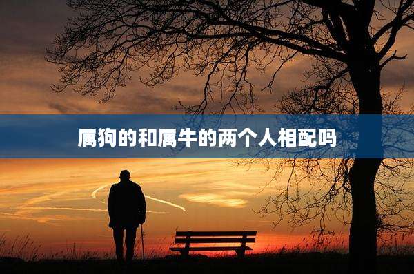 属狗的和属牛的两个人相配吗