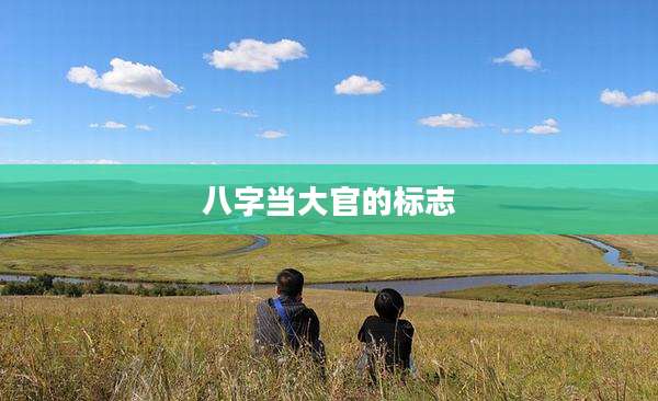 八字当大官的标志