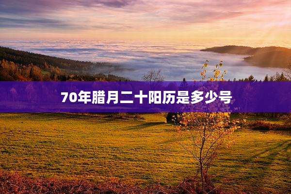 70年腊月二十阳历是多少号