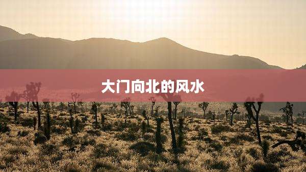 大门向北的风水