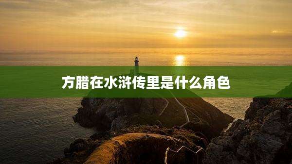 方腊在水浒传里是什么角色