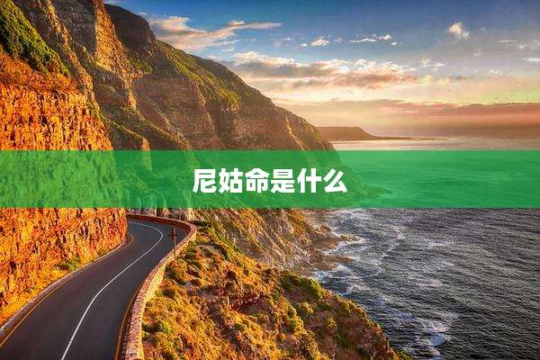 尼姑命是什么