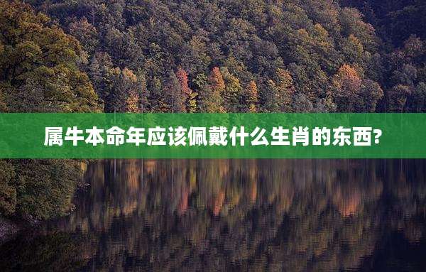 属牛本命年应该佩戴什么生肖的东西?